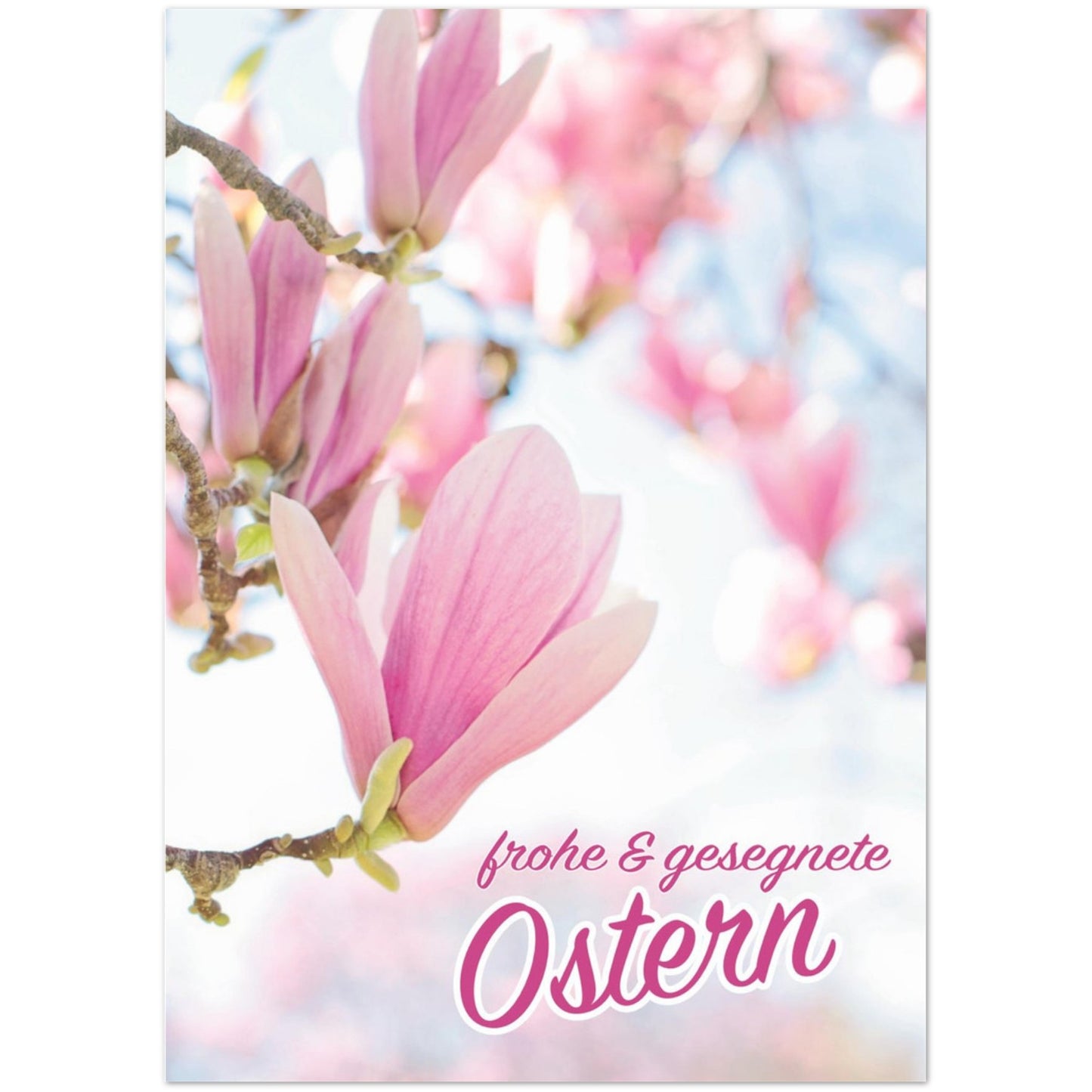 2fee40cd-742a-4873-bb29-328c7d7b7d51