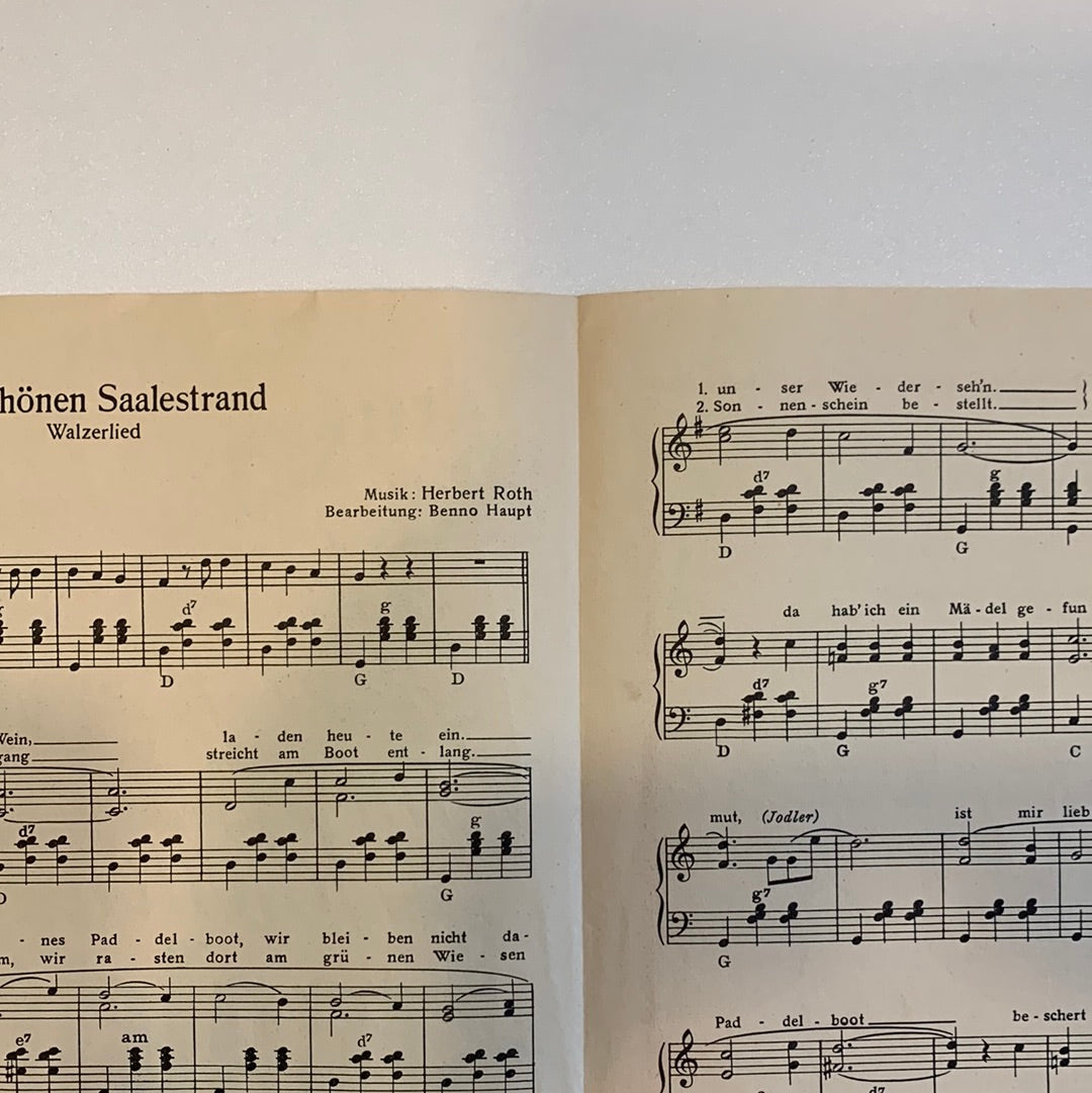 Am schönen Saalestrand