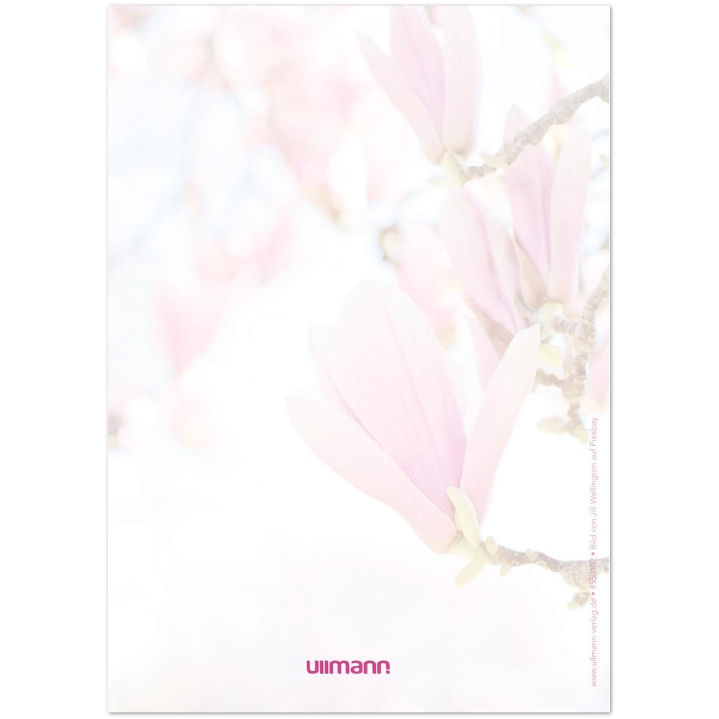 61d6c1d0-6df4-4fcf-83d6-5faaffd0fc7e