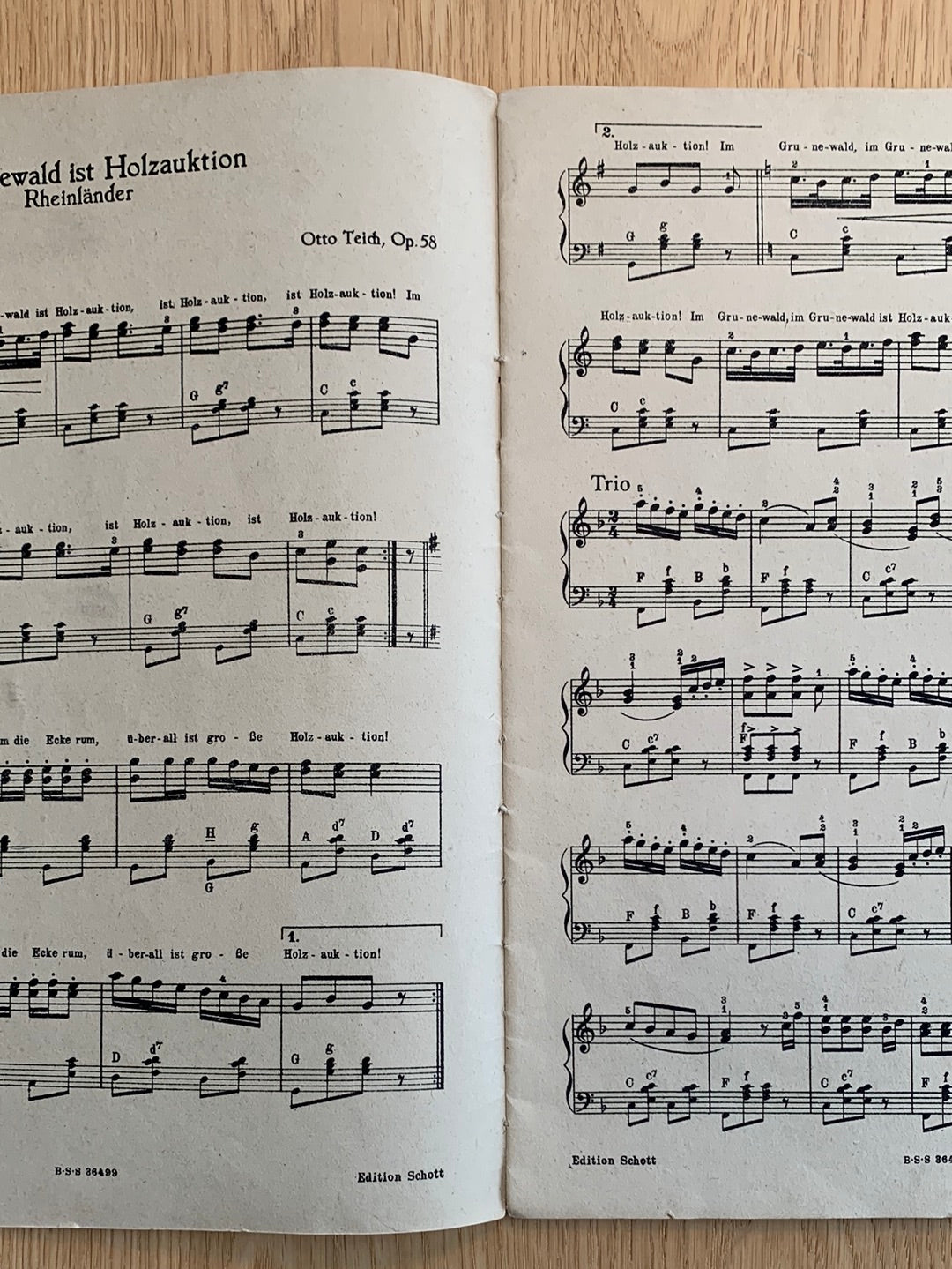 Mein erstes Akkordeon- Buch (leicht gesetzt) Heft III