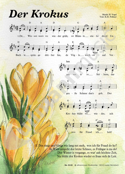 Der Krokus