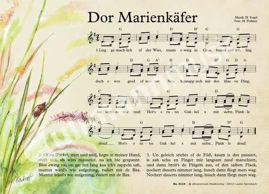 Dor Marienkäfer